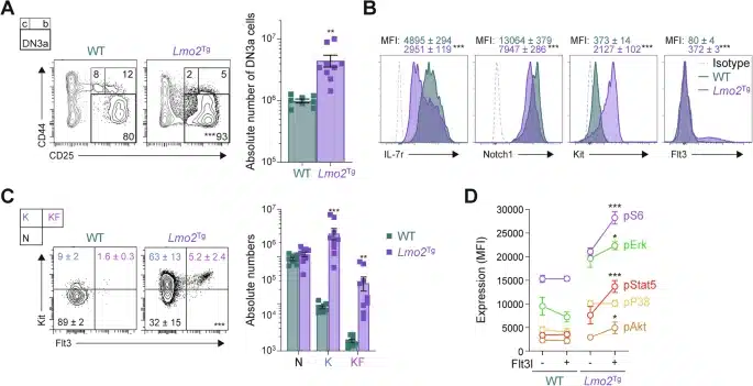 Fig. 1: Aberrant response to Flt3l in preleukemic Lmo2-transgenic DN3a thymocytes